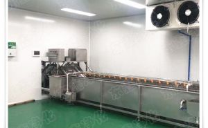食品凈化工程無塵車間設(shè)計(jì)施工時注意問題【東鑫凈化】